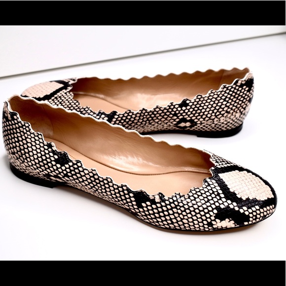 Chloe Shoes - Lauren Scalloped Python Leather Ballet Flats 38